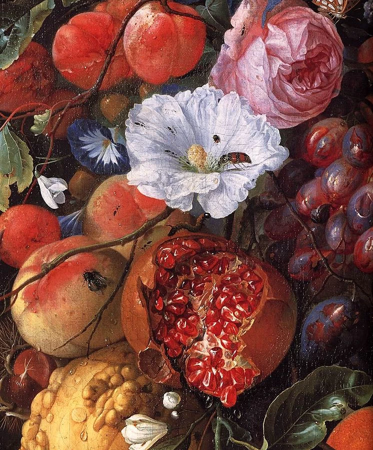 Festone di frutti e fiori - Rijksmuseum, Amsterdam, dettaglio
